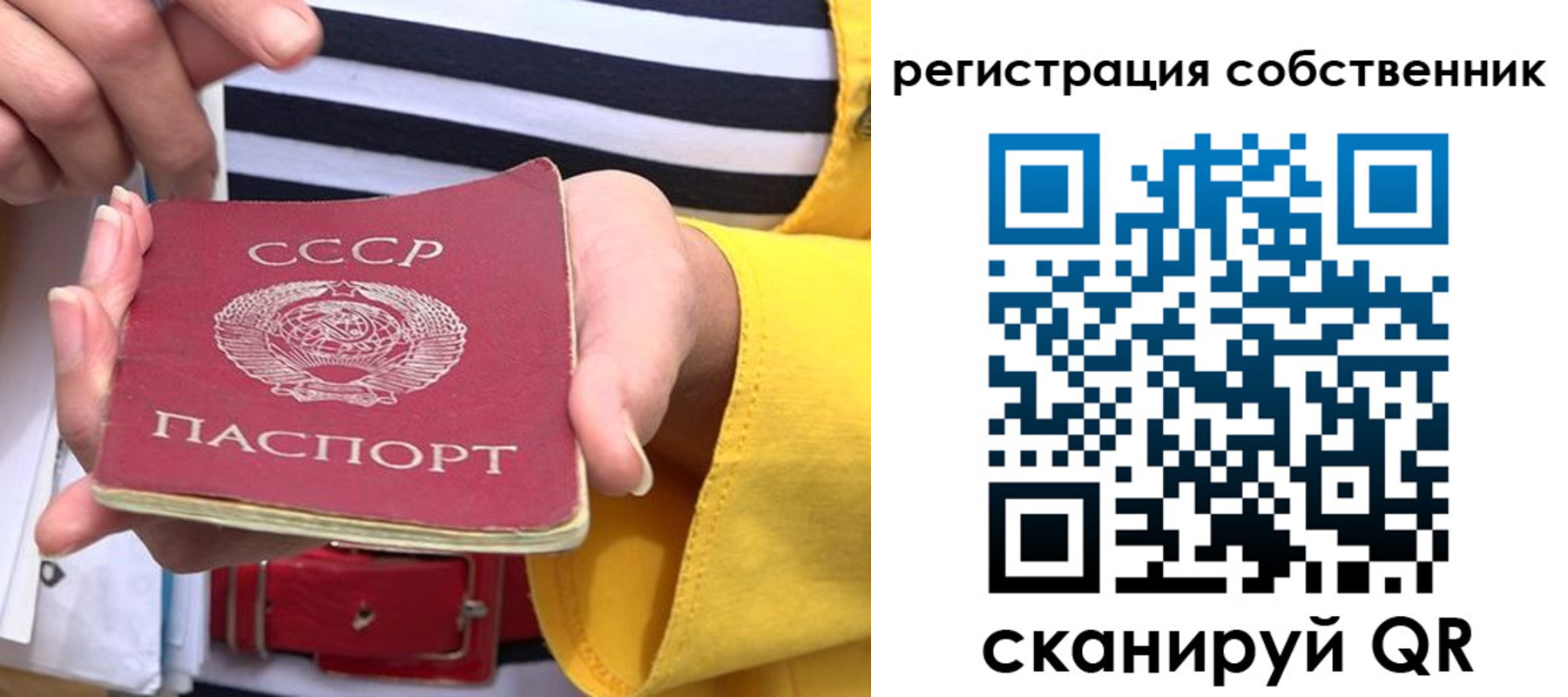 временная прописка в Кингисеппе
