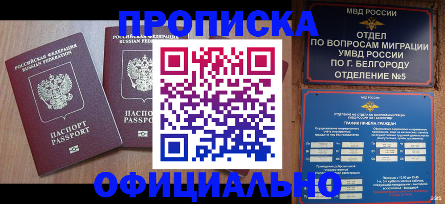 найти адрес прописки в Кингисеппе